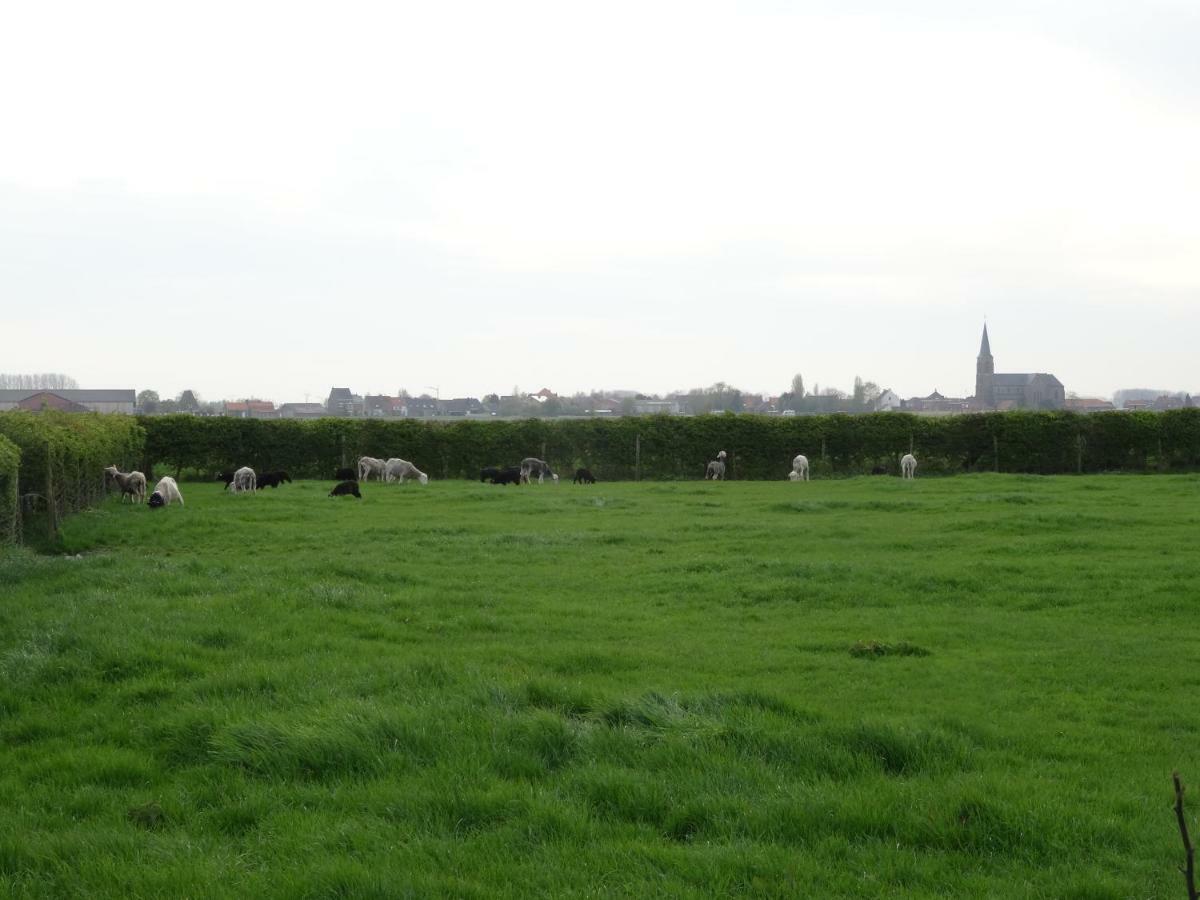 De Molenkreek Vila Sint-Margriete Exterior foto