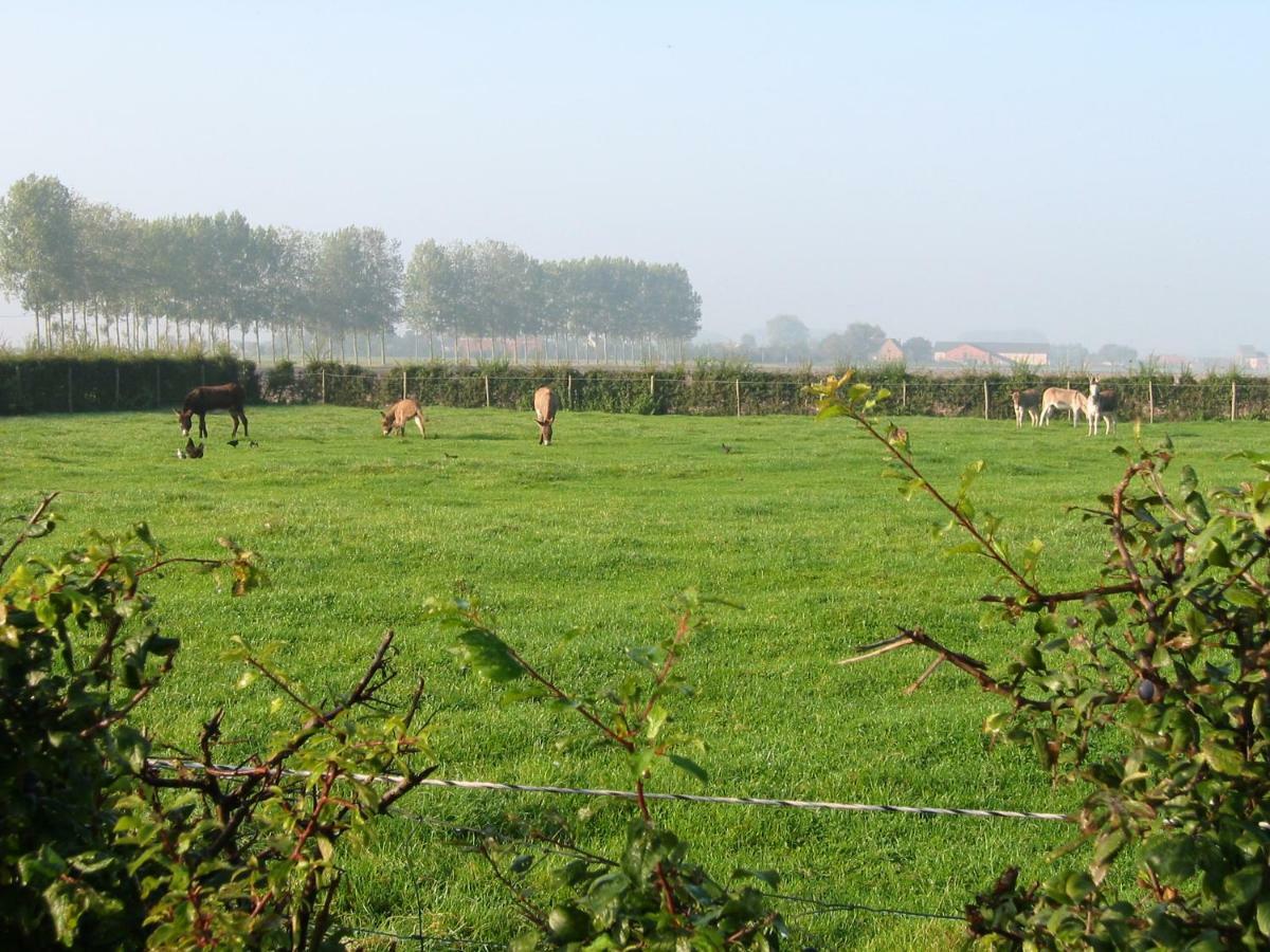 De Molenkreek Vila Sint-Margriete Exterior foto