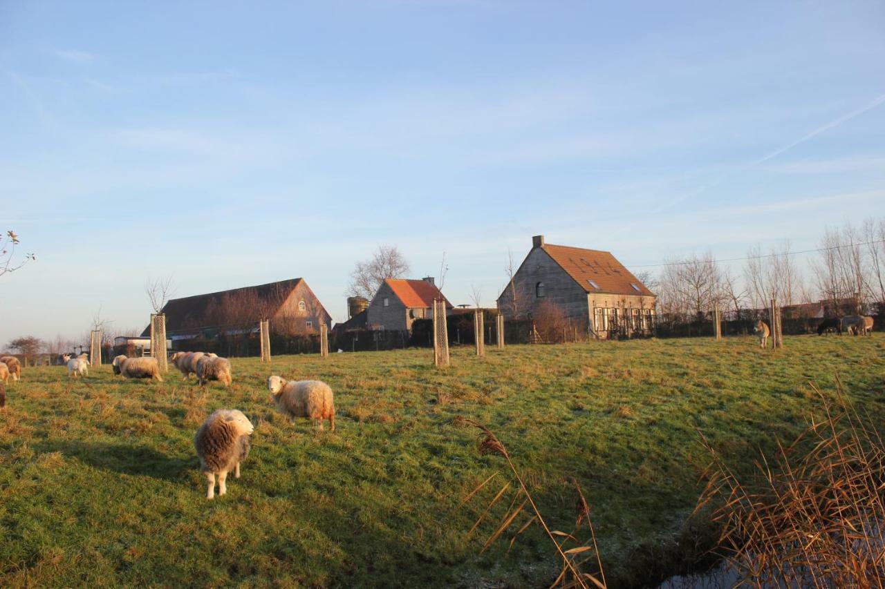 De Molenkreek Vila Sint-Margriete Exterior foto